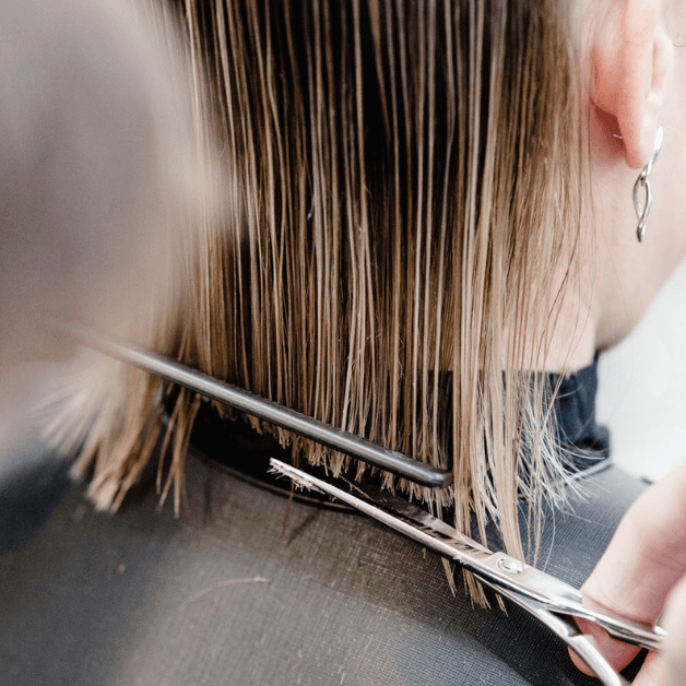 Curso Fundamental Plus